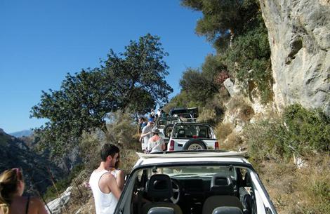 Safari en jeep
