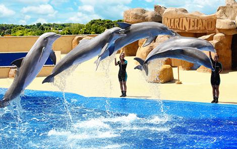 Marineland Catalunya 