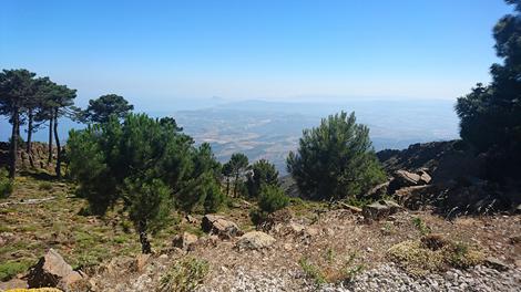 Parc naturel de Los Reales de Sierra Bermeja 